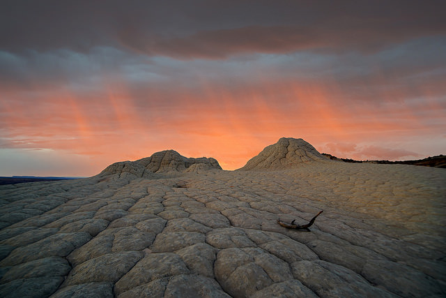 Desert