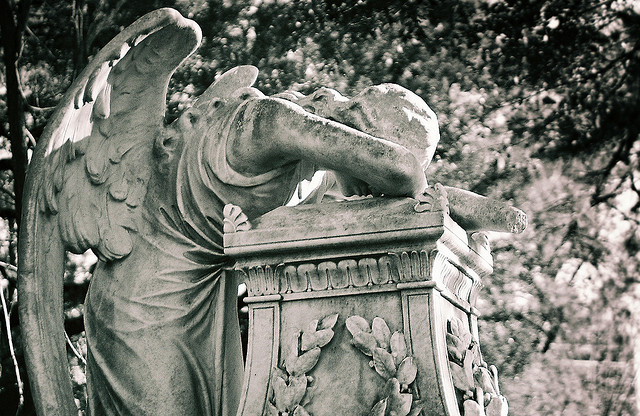 Weeping Angel