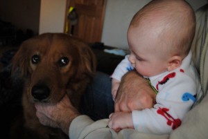 Dog and Baby