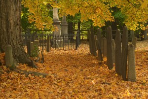 Fall Cemetery